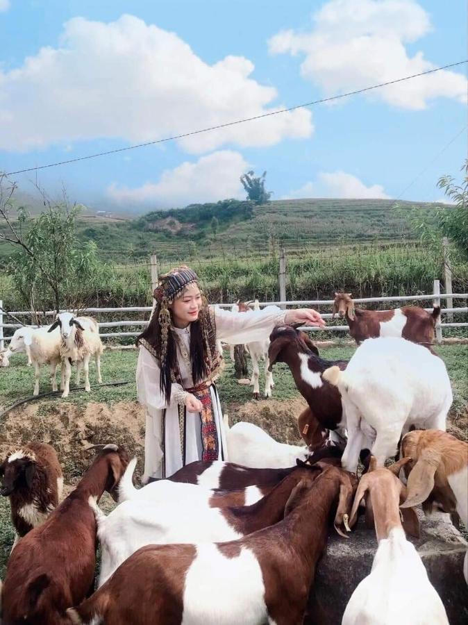 O Chau Homestay Lao Cai Esterno foto