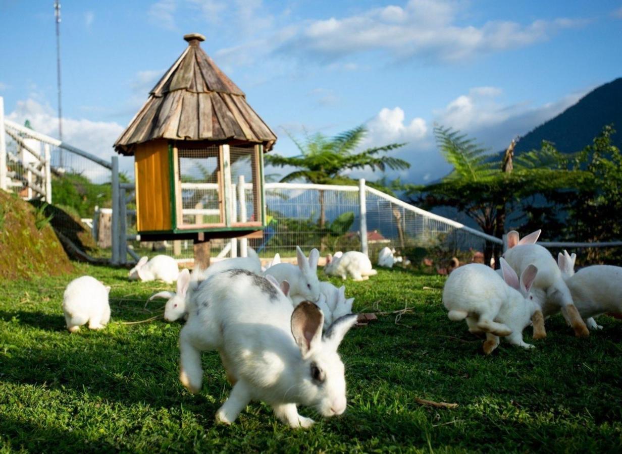 O Chau Homestay Lao Cai Esterno foto