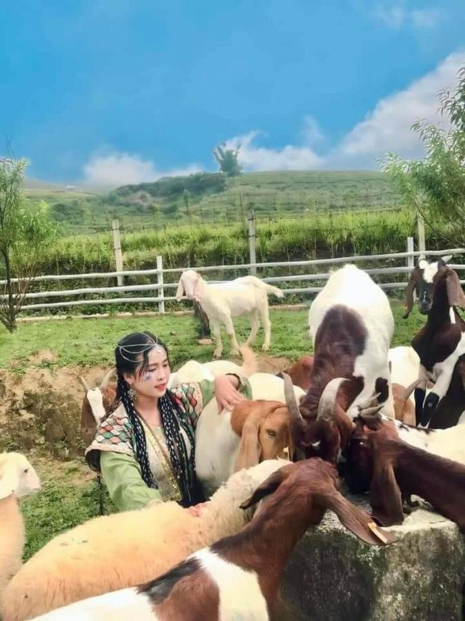 O Chau Homestay Lao Cai Esterno foto